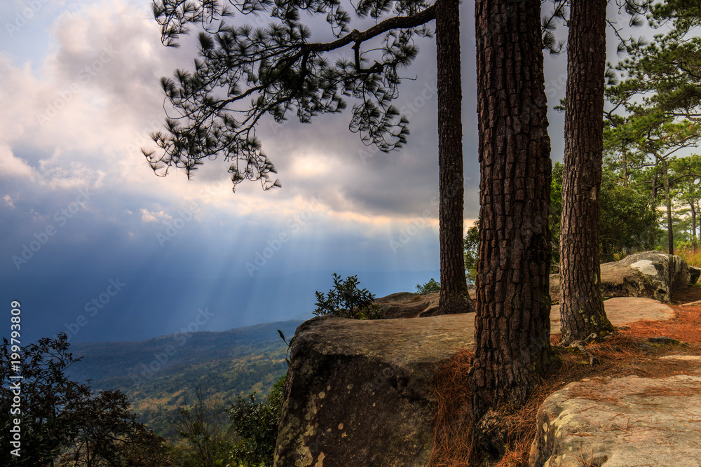 Beautiful sunset on the high mountain in Phu-kra-dueng national park Loei province, Thailand.