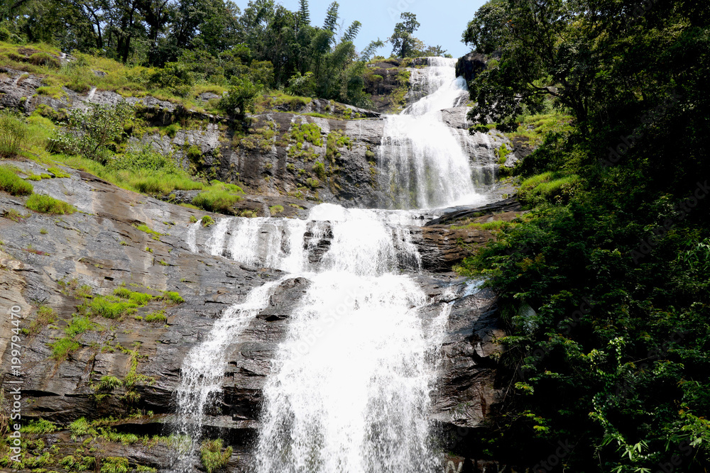 Obraz premium Waterfall