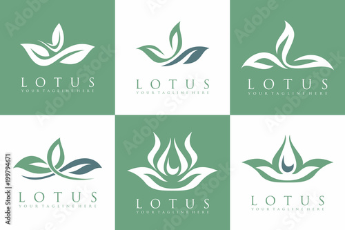 Set of  Lotus and Luxury Logo Vector Template