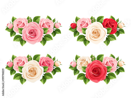 Vector set of red  pink and white roses isolated on a white background.