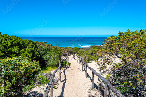 path towards the sea through the beach photo