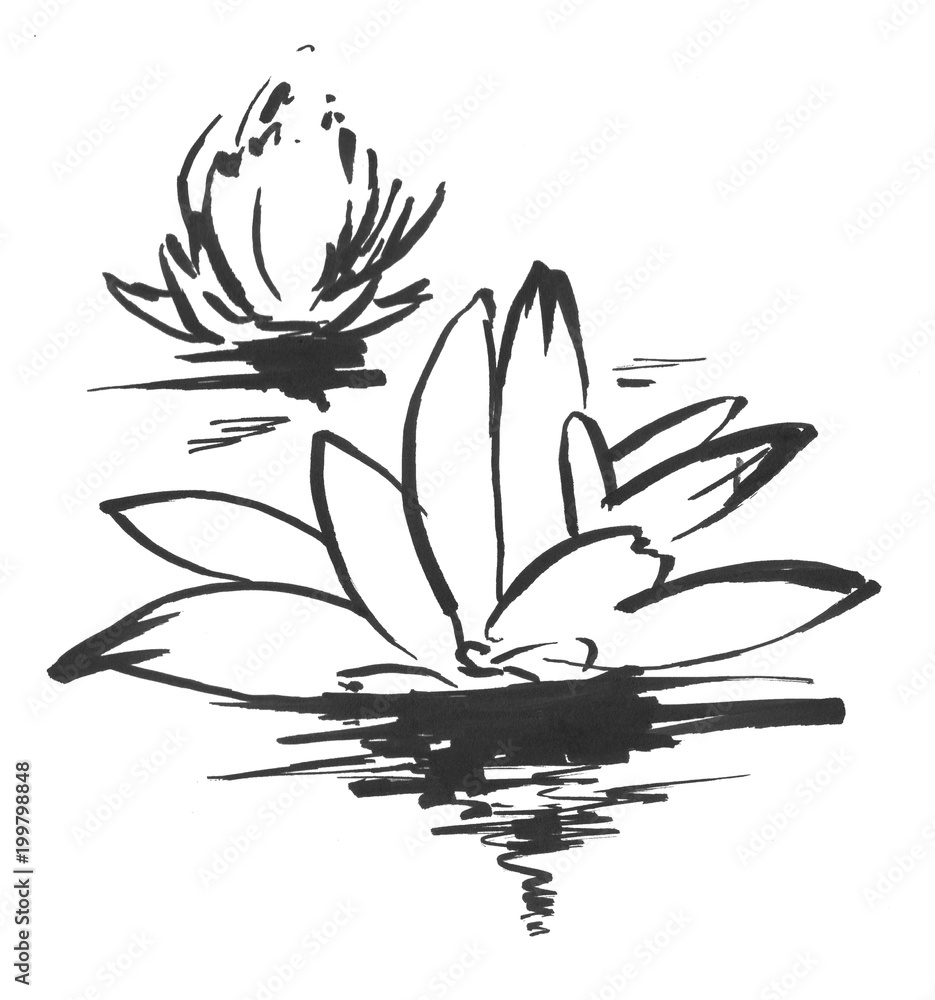 ハスの花 Stock イラスト Adobe Stock ハスの花 Stock イラスト Adobe Stock