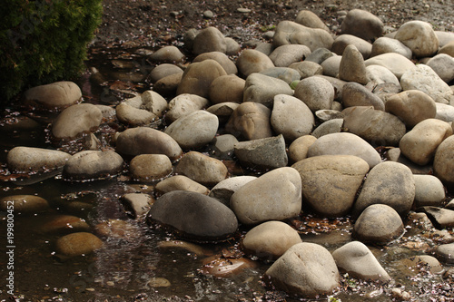 Rocks Along Water