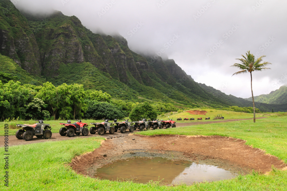 Fototapeta premium ATVs in a Row