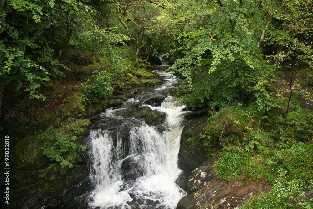 Wasserfall im Killarney Nationalpark, Irland Wasserfall im Killarney Nationalpark, Irland