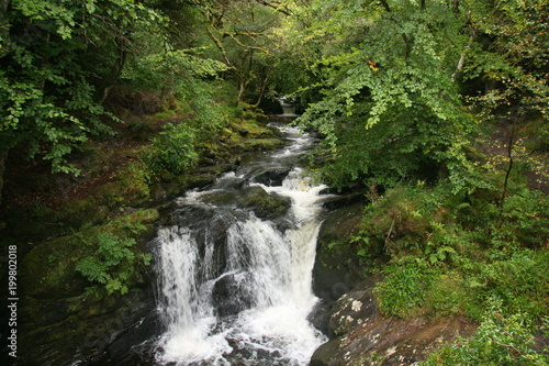 Wasserfall im Killarney Nationalpark, Irland