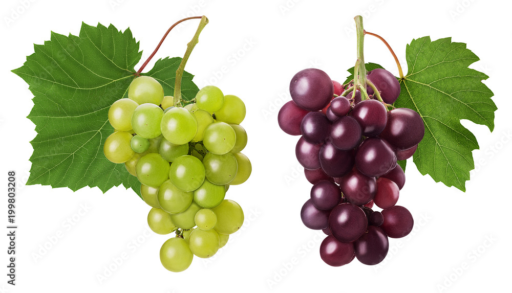 Fototapeta premium Set ripe bunch green and red grape with leaf