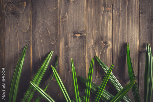 Green Ieaf background around old wood with space, Vintage toned. photo