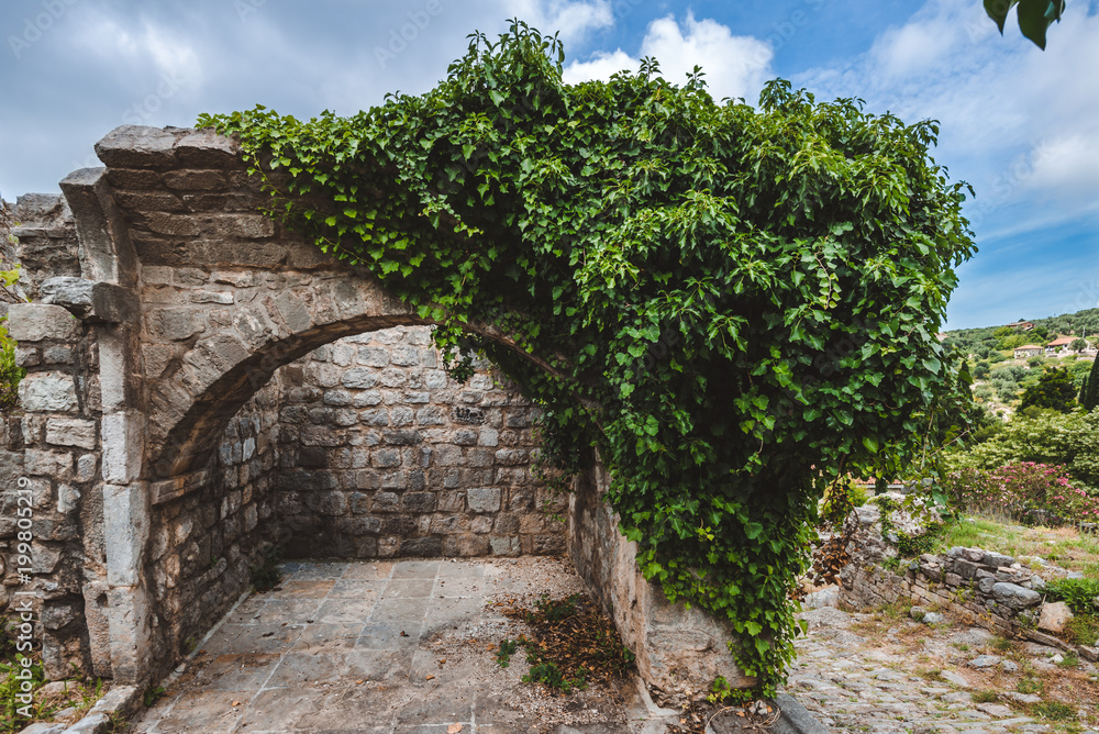 Ancient stone ruins and ivy wall archway at Old Bar town on Montenegro. Stari Bar - ruined medieval city on Adriatic coast, Unesco World Heritage Site.
