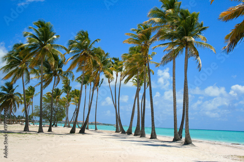 Perfect Beach day in Dominican Republic © Melanie
