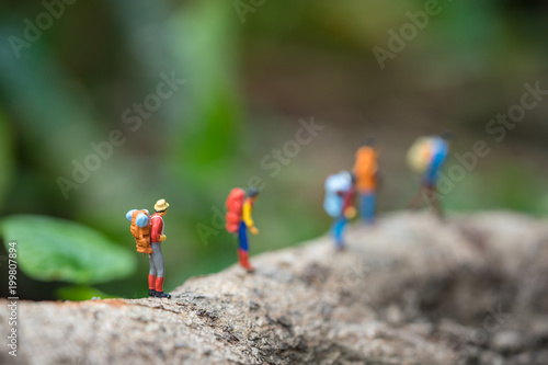 Miniature people, travelers trekking in rain forest. Travel and leisure concept.
