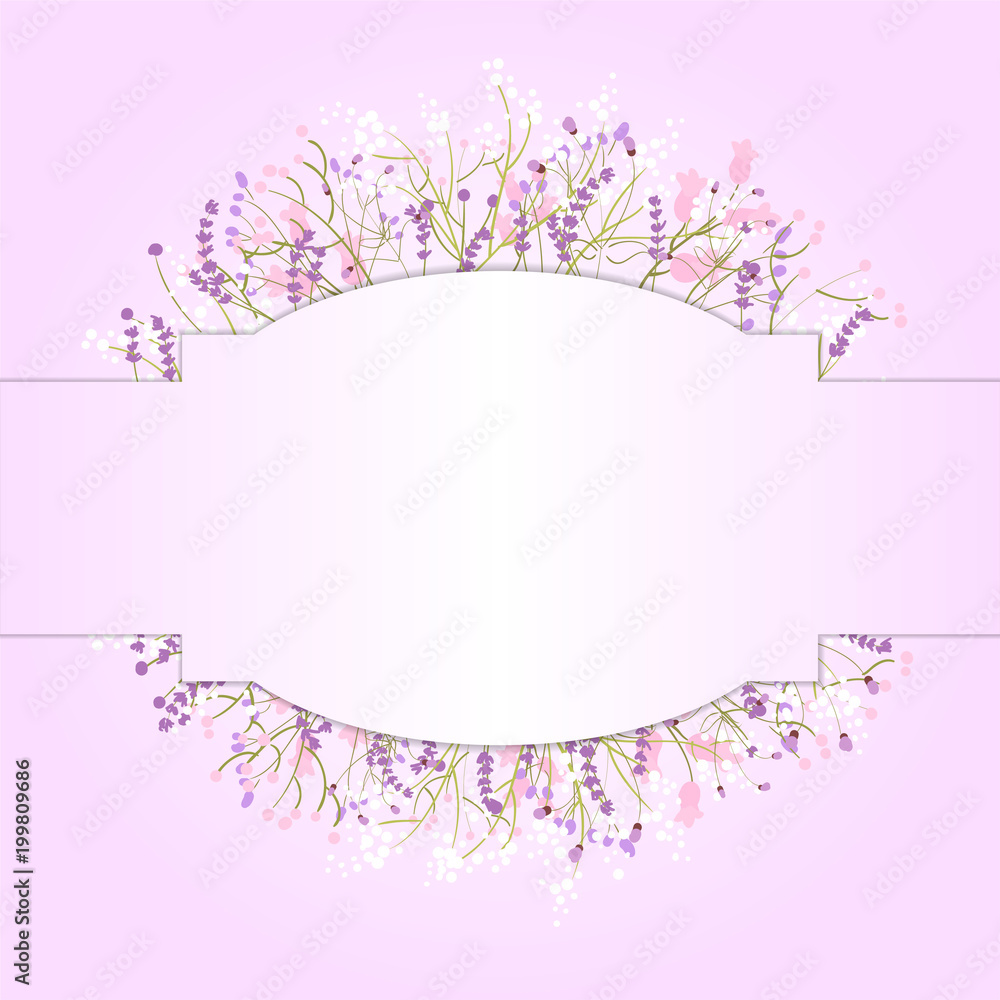 Composition of delicate wild flowers on a pink background with space for your text. Postcard.