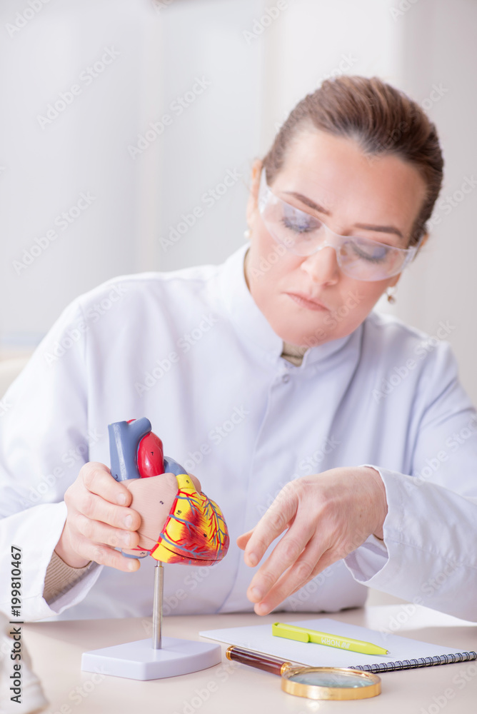 Doctor lecturer explaining various parts of heart Doctor lecturer explaining various parts of heart