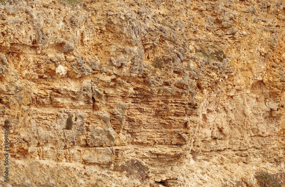 close-up relief of the rocks close-up relief of the rocks
