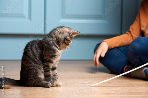 Boy is playing with kitten. Cat is hunting on plastic straw.