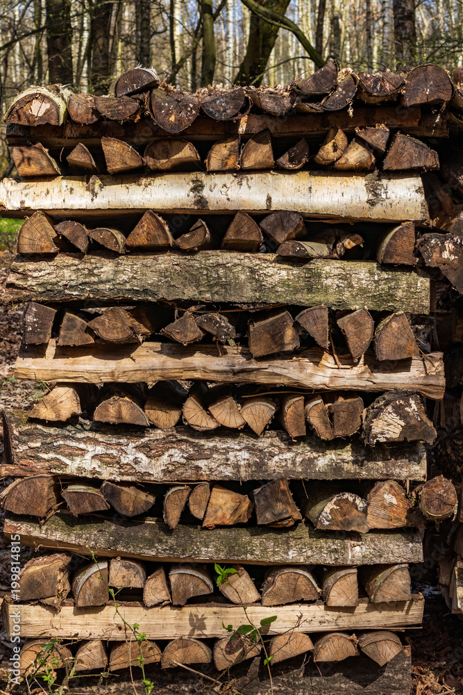 wood piles properly stacked in the forest