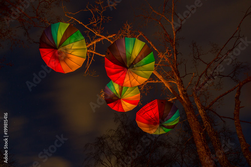 Umbrella art