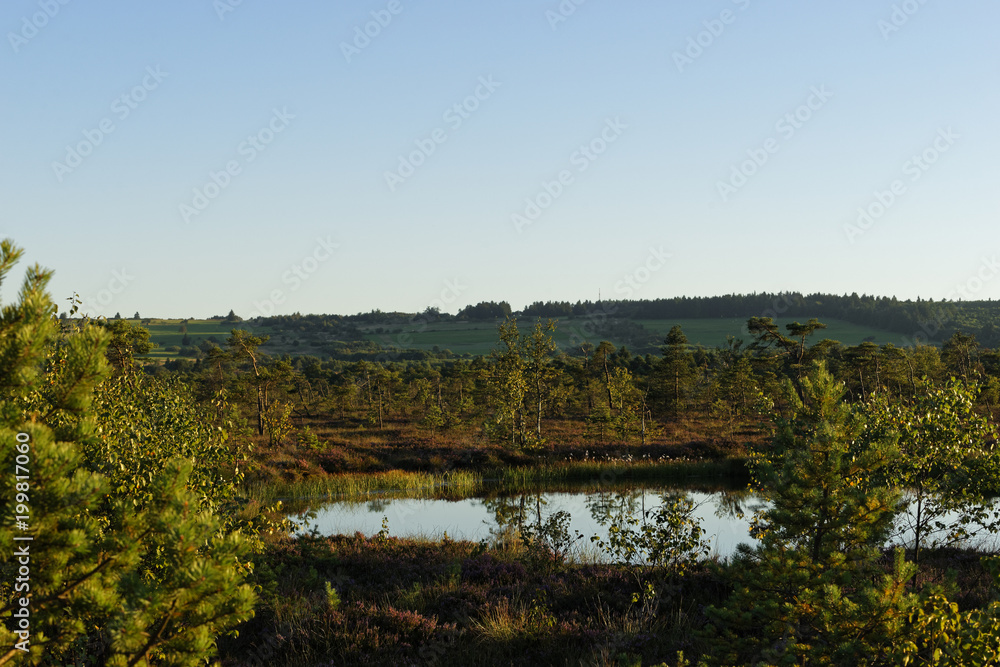 Das Naturschutzgebiet 