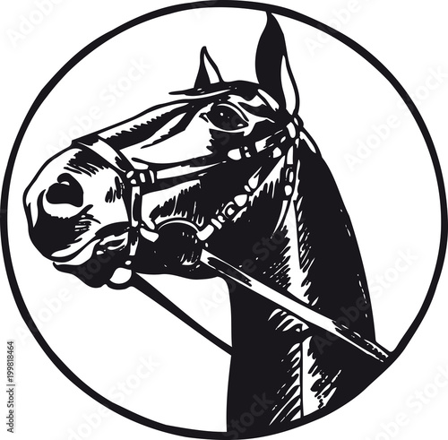 Horse with bridle 2, Retro Vector Illustration