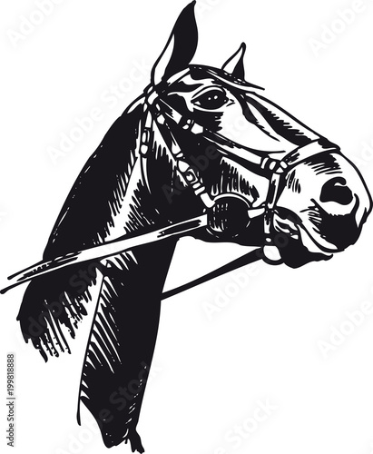 Horse with bridle, Retro Vector Illustration