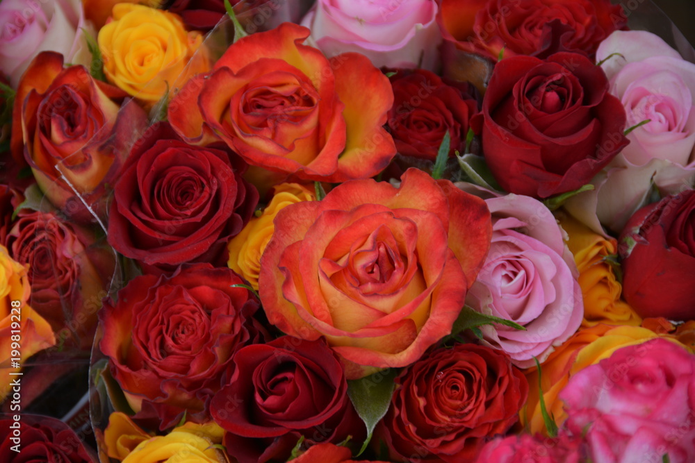 Fototapeta premium flowers