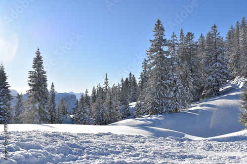 Winterzauber in den Alpen