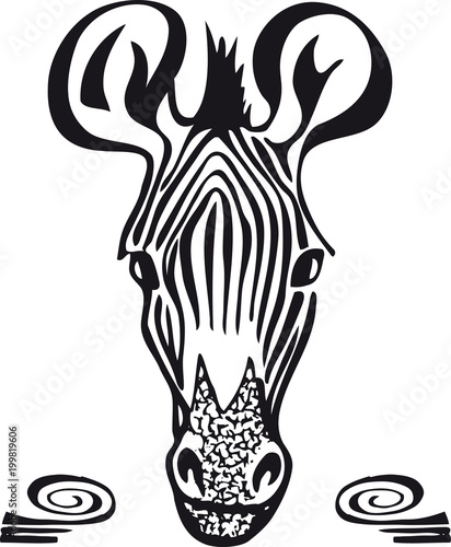 Zebra head, Retro Vector Illustration