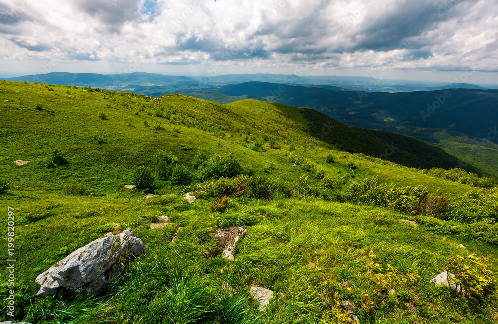 grassy slope of the mountain on a cloudy day. beautiful summer