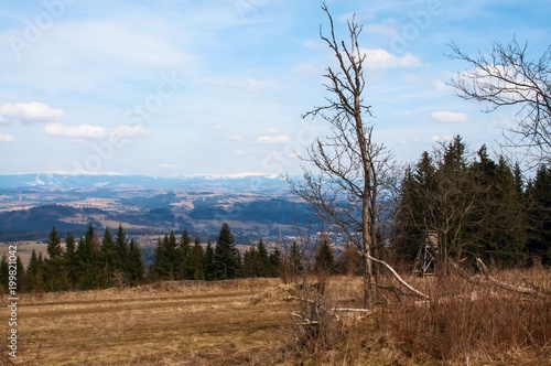 Mountain meadow and landscape in spring.