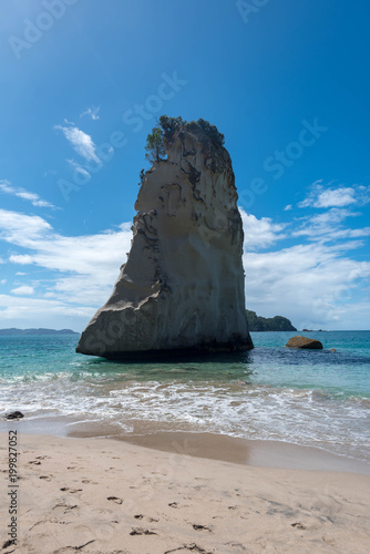 Fels am tropischen Strand
