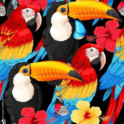 Seamless pattern macaws and toucans