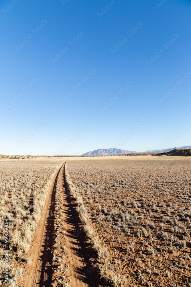 Red Desert Sand Track Red Desert Sand Track