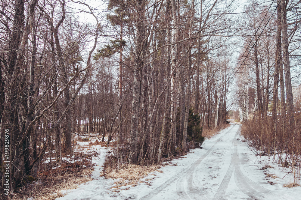 Small forest road in winter with snow melting Small forest road in winter with snow melting