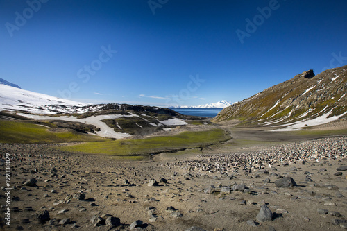 Thousands of Chinstrap Penguins nest on the hills above Bailey Head on Deception Island, Antarctica. The colony is drastically losing population numbers because of climate change and krill overfishing
