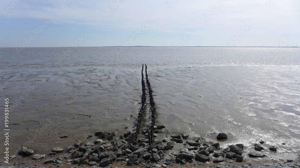 Bunen im Wattenmeer bei Wilhelmshaven Bunen im Wattenmeer bei Wilhelmshaven