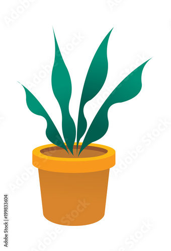 Vector Icon 