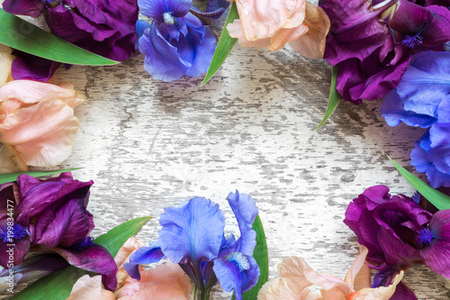 Fototapeta Naklejka Na Ścianę i Meble -  frame made of colorful iris flowers on white rustic wood background for creative work design. top view