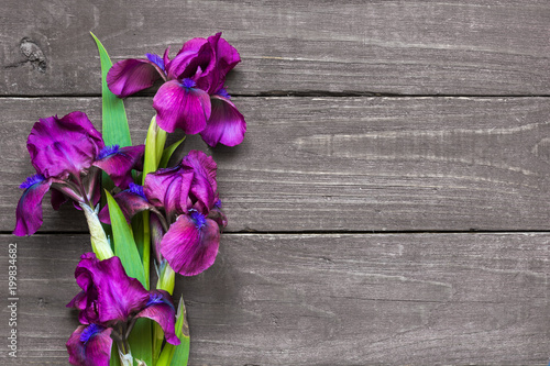 purple iris flowers bouquet on rustic wooden background. flat lay. top view with copy space