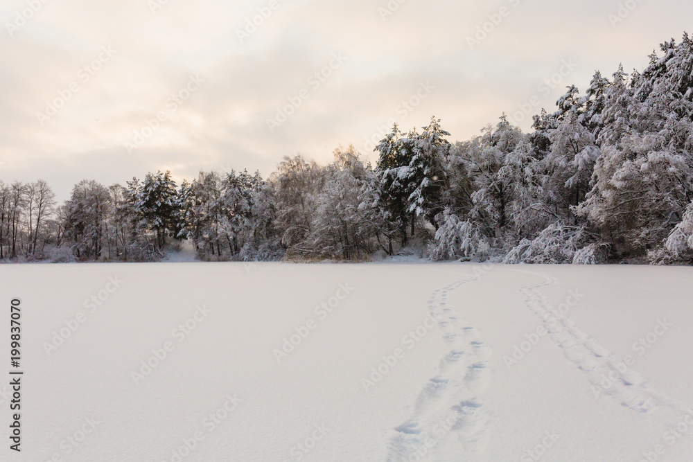 Beautiful winter landscape at the morning Beautiful winter landscape at the morning