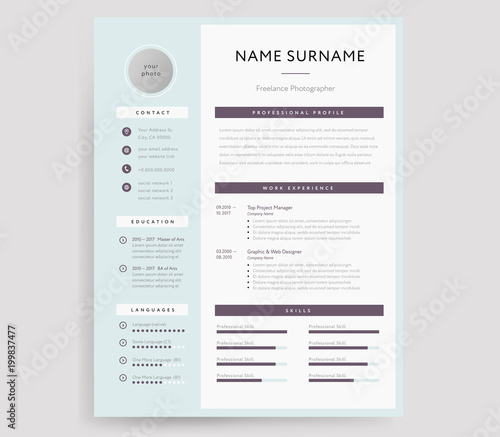 Professional CV / Resume template sample