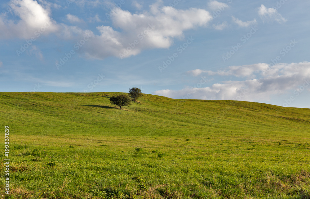 rural pasture landscape