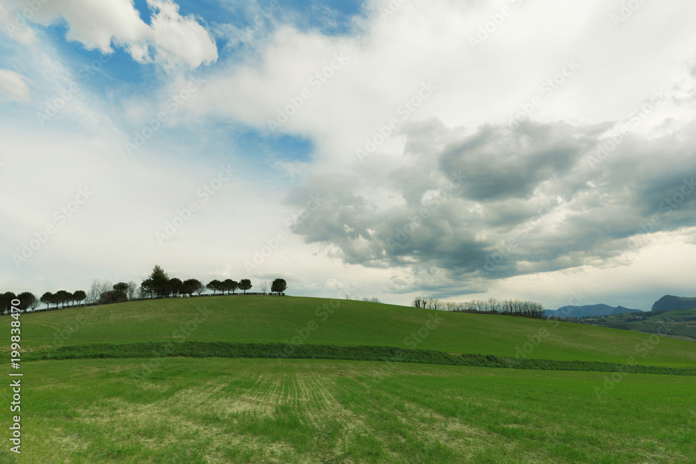 Early spring morning in the countryside, green fields and cloudy sky Early spring morning in the countryside, green fields and cloudy sky