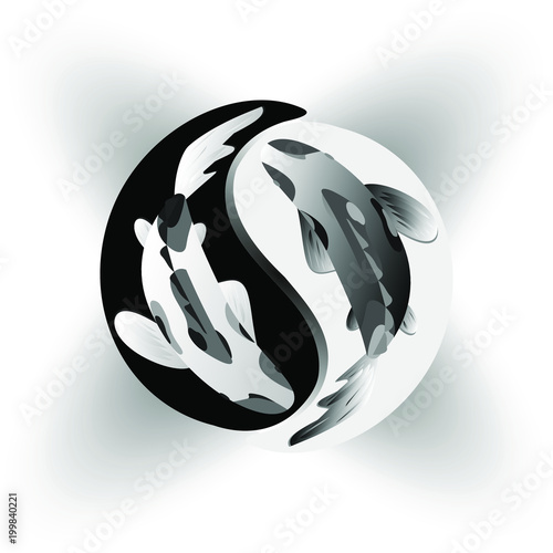 Yin Yang Koi fish isolated illustrations. Vector drawing, Cyprinus Carpio in symbol.