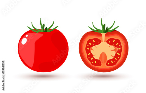 Tomato slice isolated on white flat design. Tomato organic food vector illustration of healthy vegetable