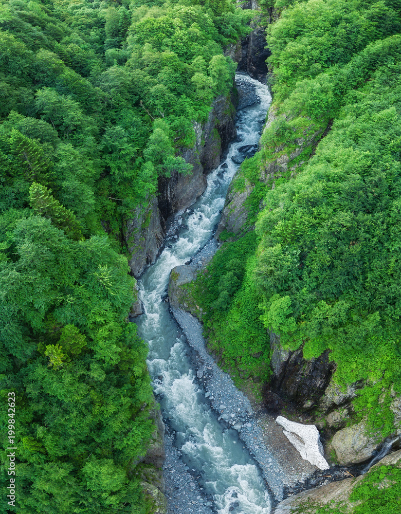 Aerial view on the forest and river. Beautiful natural landscape at the summer time Aerial view on the forest and river. Beautiful natural landscape at the summer time