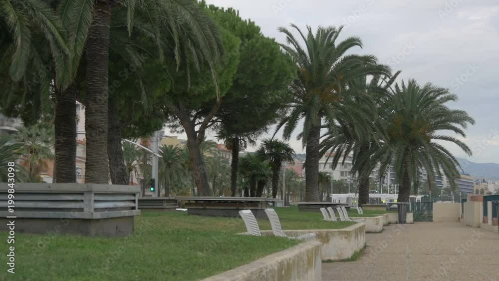 Palm trees and benches on an alley Palm trees and benches on an alley