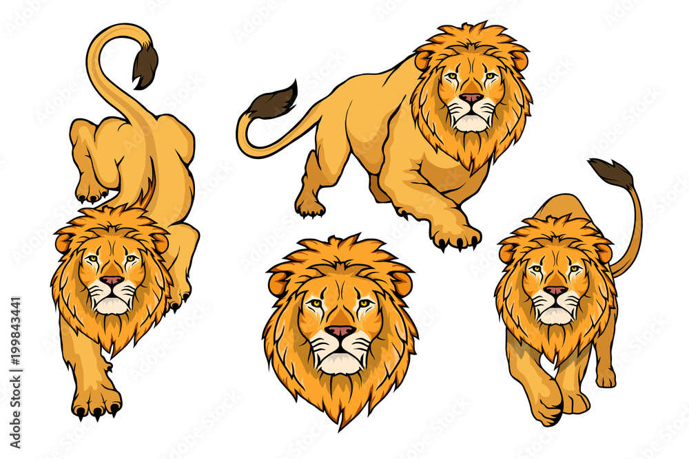 Obraz premium Zestaw logo Lwa. Wektor zwierzę lew. Król lew na białym tle