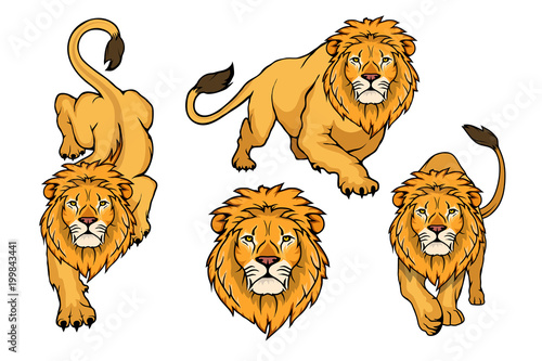 Set of Lion logo.Vector animal lion.King Lion isolated on white background.