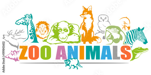 ZOO. Concept with zoo animals.