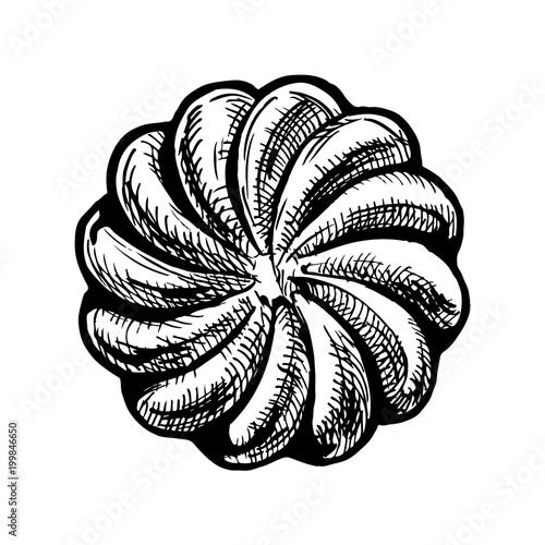 illustration of tasty cookie